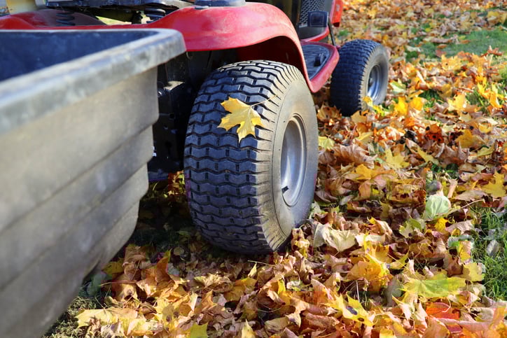 Fall Lawn Care Michigan Style news